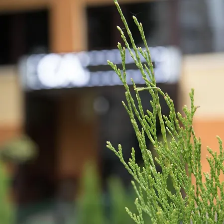 Hotel de apartamente Dream 3*